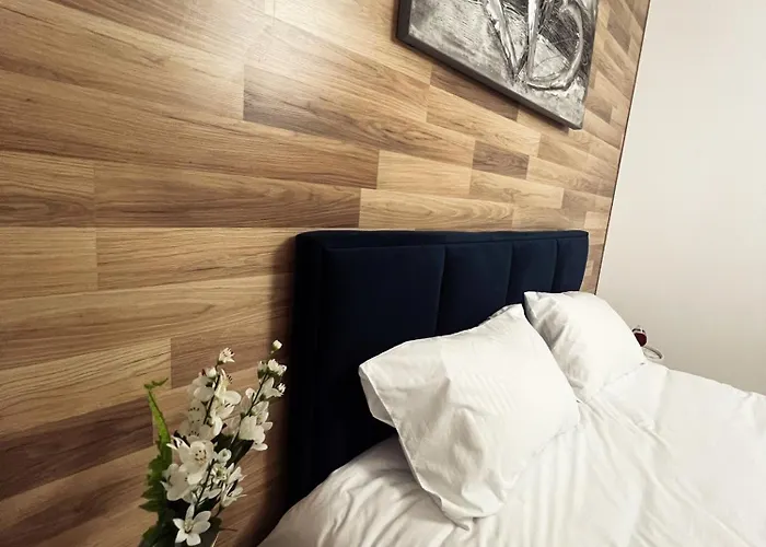 公寓 Art's 地拉那